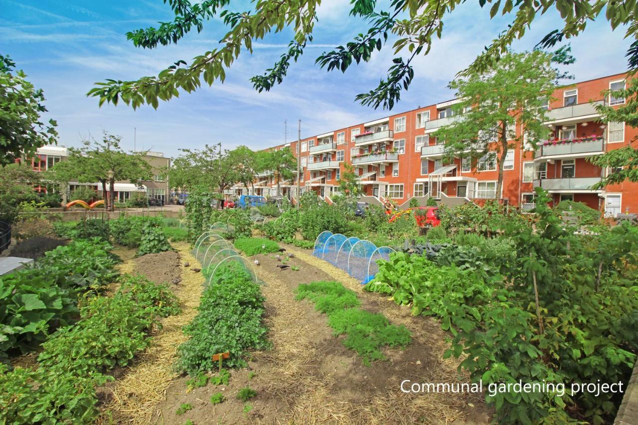New Monumental Garden View Studio Amsterdam Bilik gambar